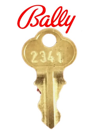 Slot machine reset key 2341 - reset,
